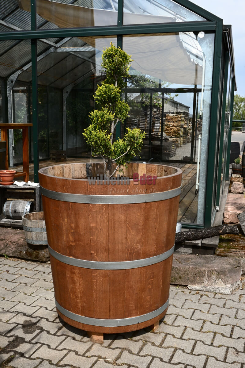 baumkuebel_altdauben_9