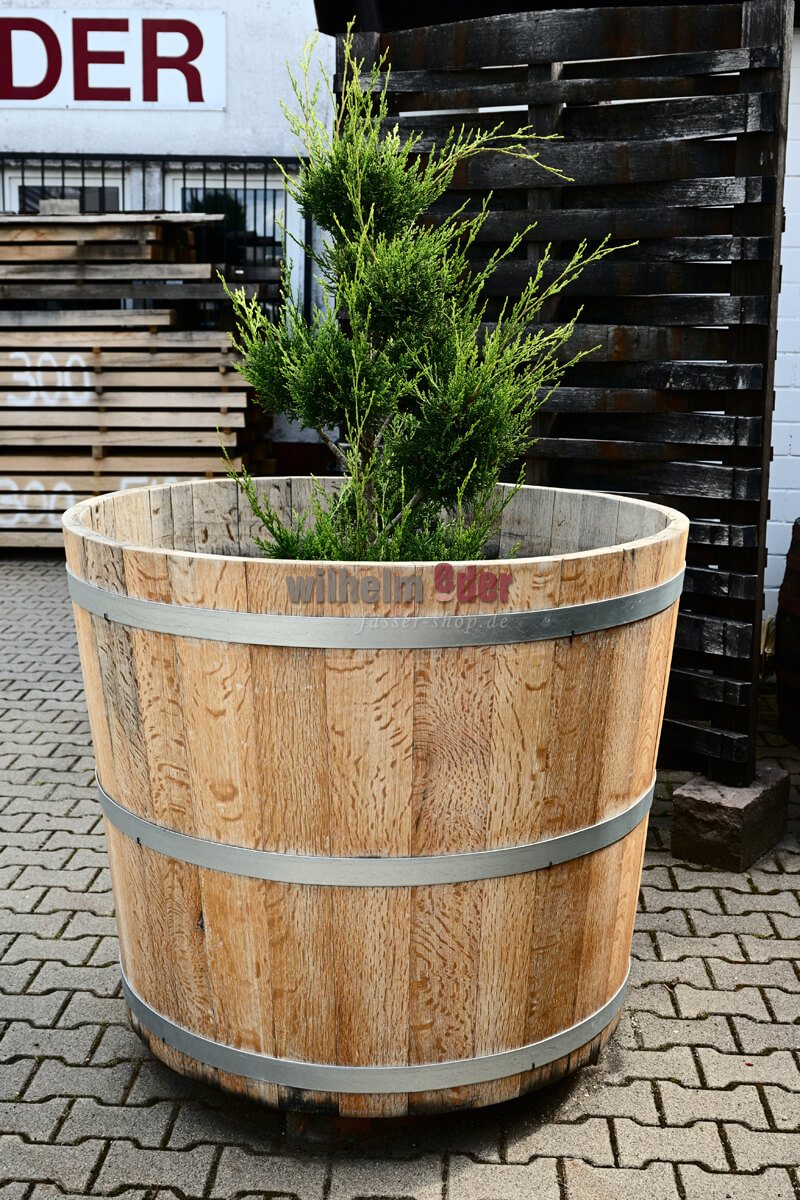 baumkuebel_altdauben_750l_2