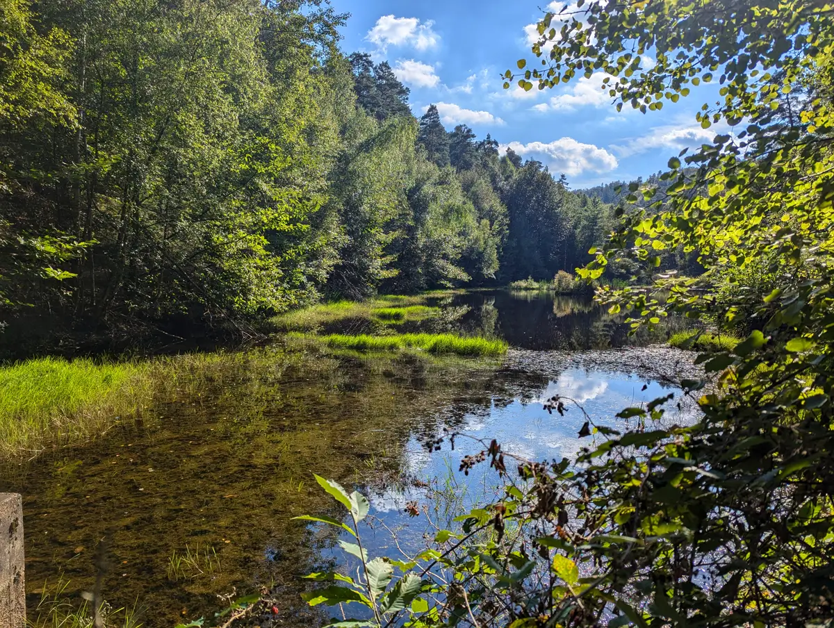 Partner of the Palatinate Forest–Northern Vosges Biosphere Reserve
